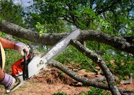 Best Weed Control  in West Carrollton, OH